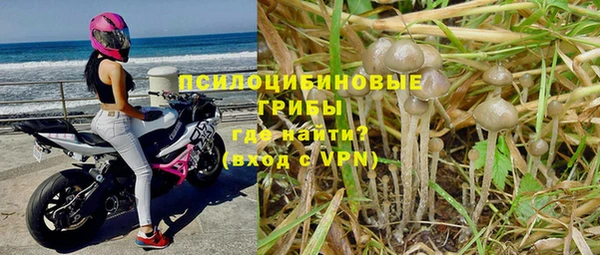 тгк Карталы