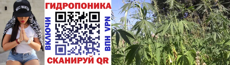 Канабис ГИДРОПОН Бузулук